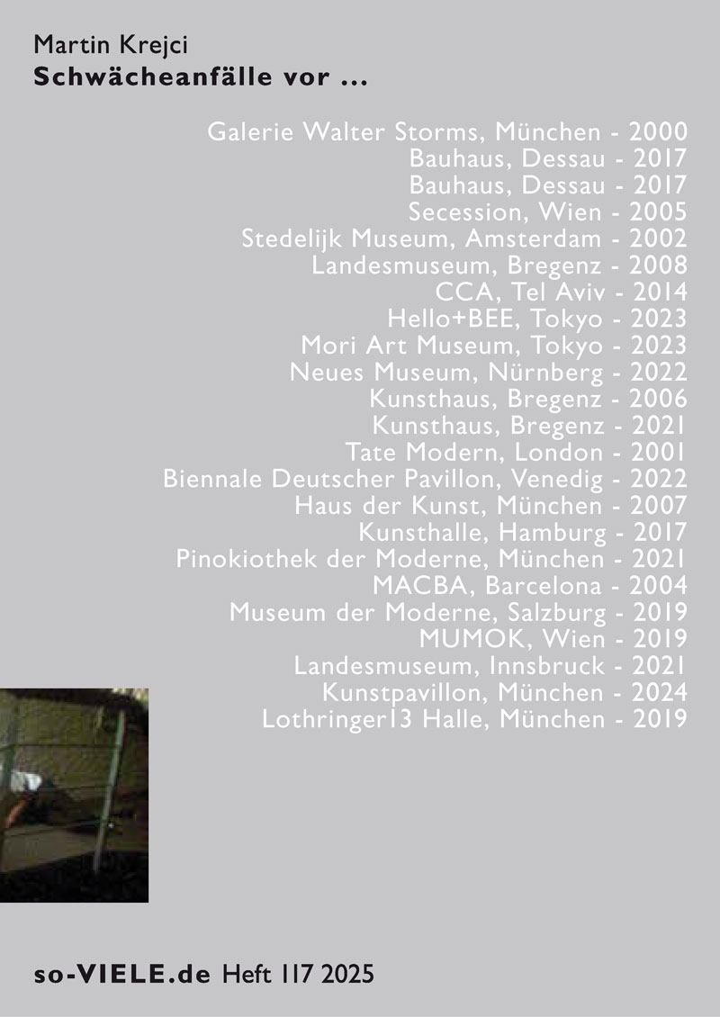so-viele-heft-117-krejci-schwaecheanfaelle