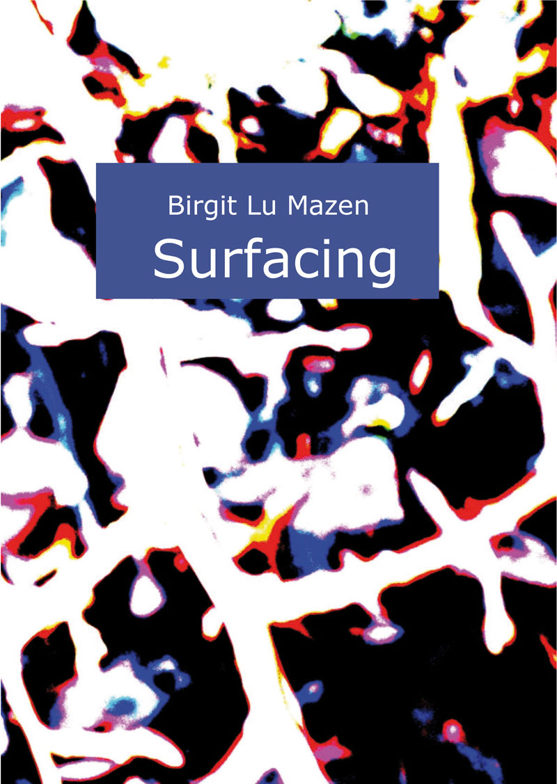 so-viele-Heft-118-Lu-Mazen-Surfacing-cover